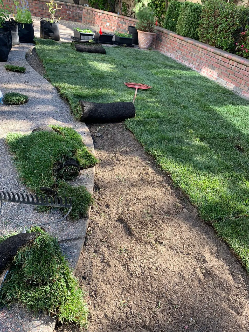 pablolandscapingmaintenanceca